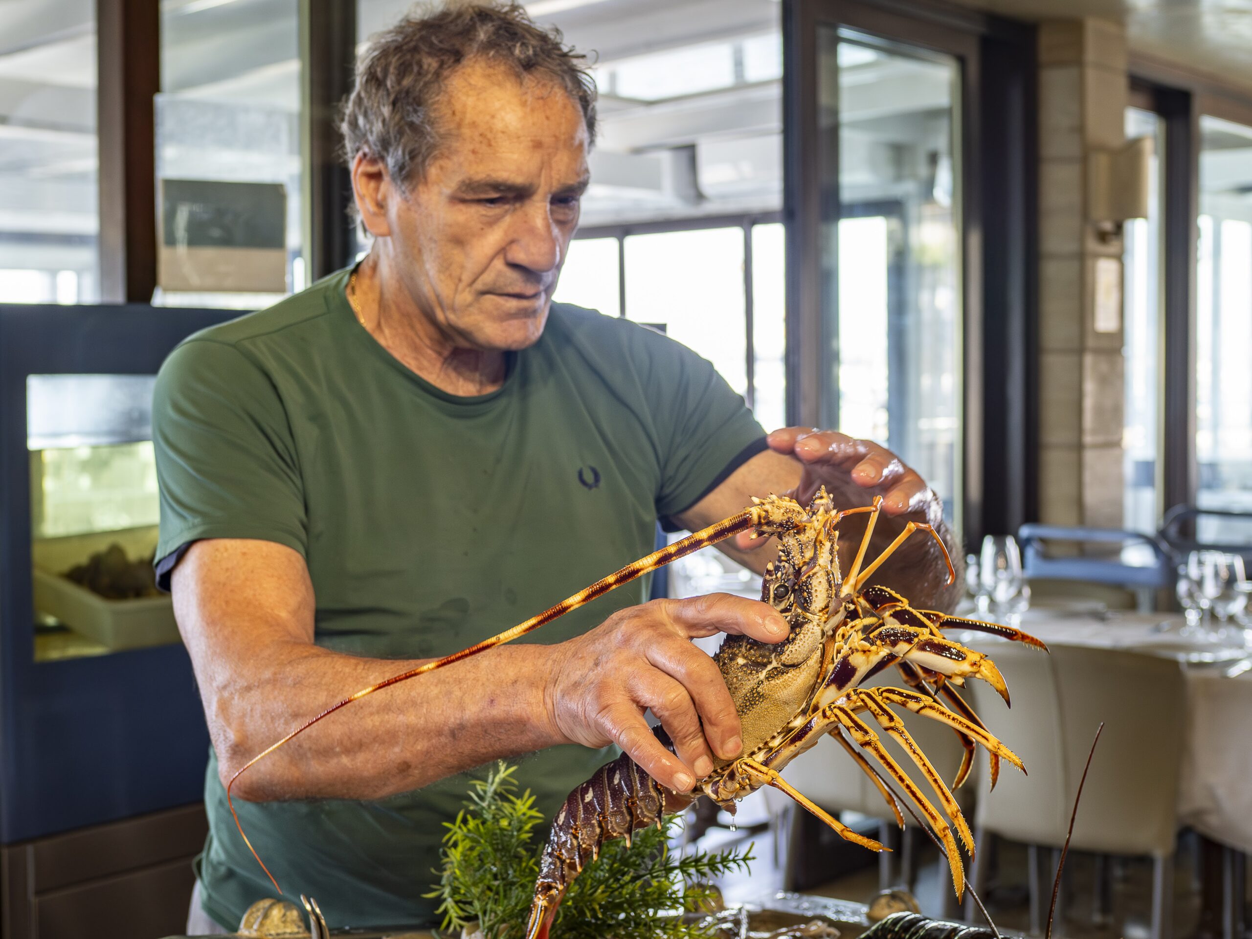 Chef Marechiaro 1